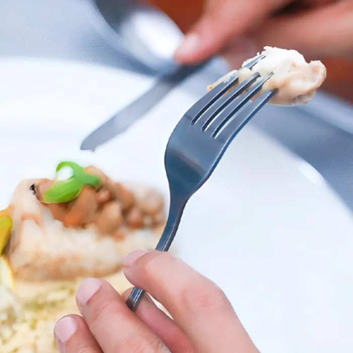 Tanica Natur – Dinner Fork (Garpu Kue Set 6 Pieces) - Image 7