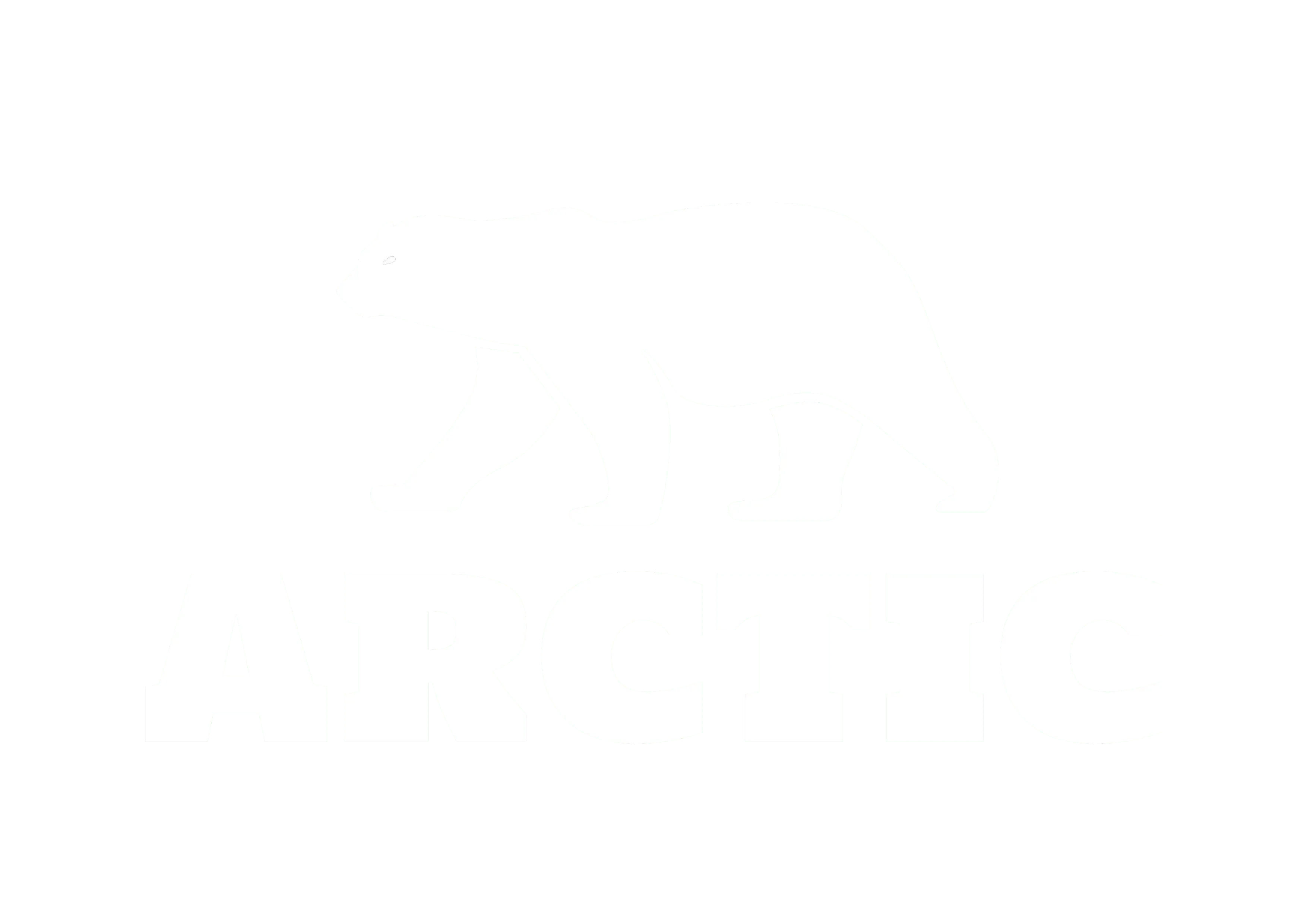 logo arctic pt mfk