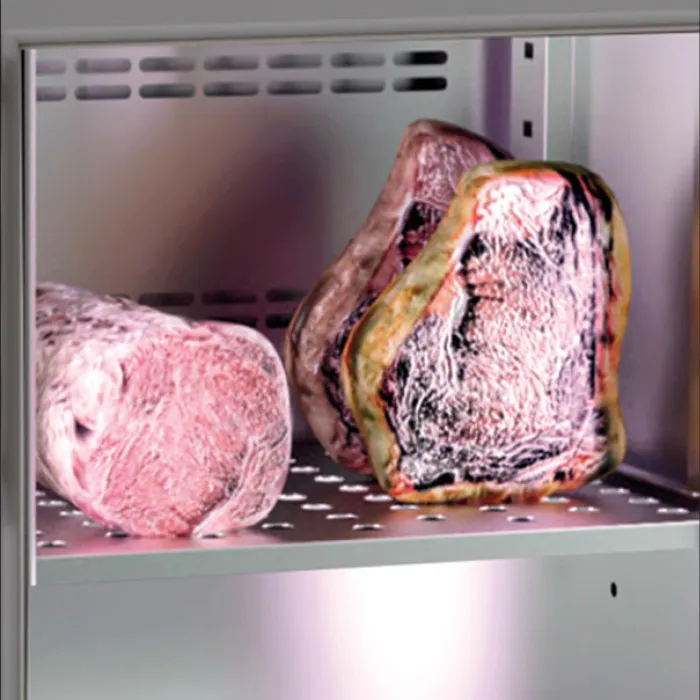 Dry Aging Meat Cabinet - AC 280 MDAB - Image 2