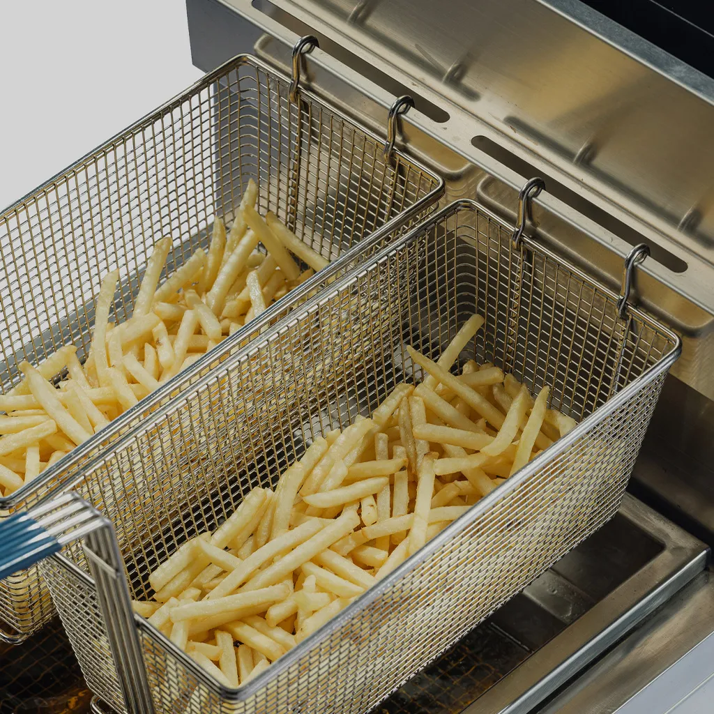 gas deep fryer dual basket komersial